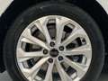 Audi A4 avant 30 2.0 tdi mhev 136cv business s tronic Bianco - thumbnail 16