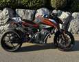 KTM 790 Duke - Beschreibung lesen! | Austin Racing - thumbnail 1