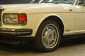 Bentley Eight Saloon "Acrylic White over Parchment" Owned by the Weiß - thumbnail 34