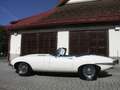 Jaguar E-Type Serie 1 4,2 OTS Unrestored full matching Bianco - thumbnail 11