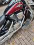 Suzuki VL 800 C800classic Rojo - thumbnail 2
