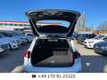 Ford Focus Turnier Cool & Co*Garantie*LED*AHK*8xReife Blanc - thumbnail 18
