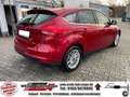 Ford Focus Cool & Connect - 1. Hand - TÜV/AU NEU Rot - thumbnail 7