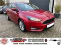 Ford Focus Cool & Connect - 1. Hand - TÜV/AU NEU Rot - thumbnail 1