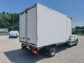 Volkswagen Crafter 2.0cc 180cv RG ISOTERMICO FRIGO FRCX strada/rete Bianco - thumbnail 5