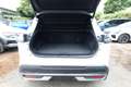 Nissan Qashqai Tekna AWD Pano BOSE HUD el.Heck 360° ACC 116 kW... Weiß - thumbnail 11