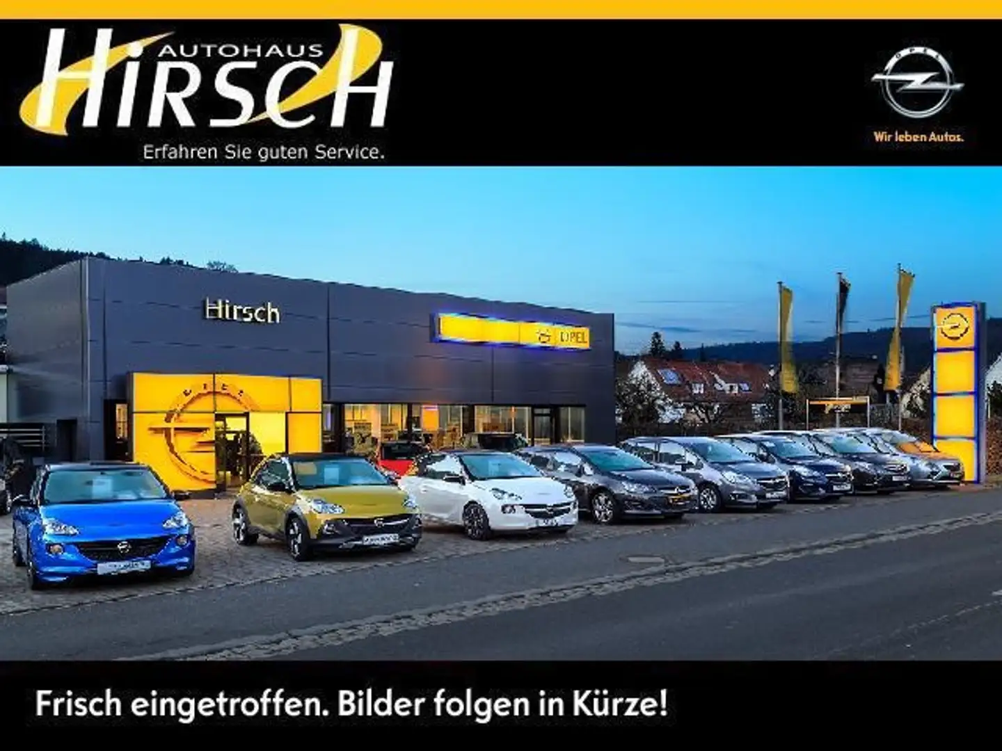 Opel Frontera GS 7Sitze+NAV+SHZ+LRH+DAB+ Blau - 1