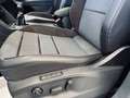 SEAT Tarraco 2.0TDI S&S Xcellence 150 Gris - thumbnail 18