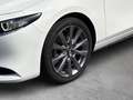 Mazda 3 4SN 2.5L e-SKYACTIV G 140ps 6AT 2WD TAKUMI Weiß - thumbnail 6