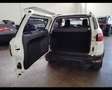 Ford EcoSport 1.5 TDCi 95 CV Business Wit - thumbnail 9