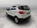 Ford EcoSport 1.5 TDCi 95 CV Business Wit - thumbnail 4