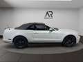 Ford Mustang CABRIO Xenon SHZ Leder Weiß - thumbnail 6