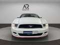 Ford Mustang CABRIO Xenon SHZ Leder Weiß - thumbnail 8