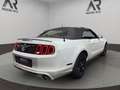 Ford Mustang CABRIO Xenon SHZ Leder Weiß - thumbnail 5