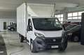 Fiat Ducato VEICOLO IMMATRICOLATO COME AUTOCARRO, PREZZO NETT Alb - thumbnail 4