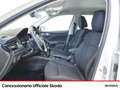 Skoda Kamiq 1.0 tsi black dots 110cv Blanc - thumbnail 7