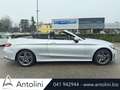 Mercedes-Benz C 200 Auto EQ-Boost Cabrio Premium Argento - thumbnail 1