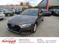 Audi A4 Avant (8WD) 40 TDI basis Grau - thumbnail 1