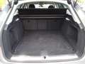 Audi A4 Avant (8WD) 40 TDI basis Grau - thumbnail 12