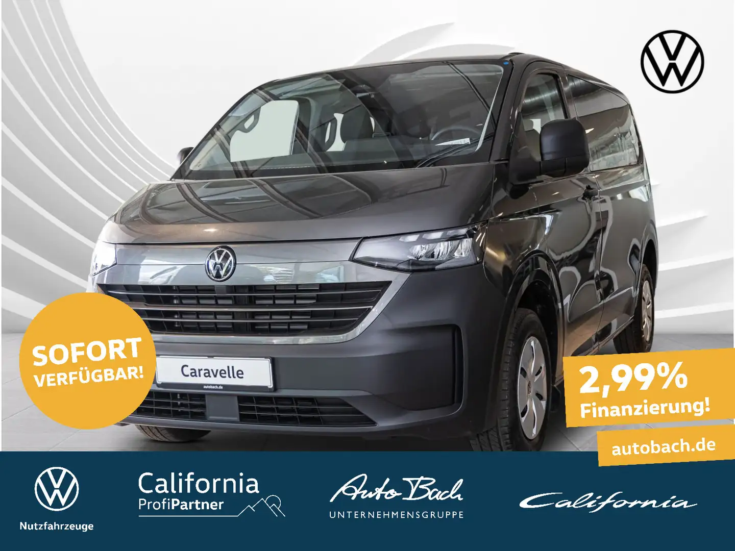 Volkswagen 2,0 l TDI 110 kW | Klima | 9 Sitzer Серый - 1
