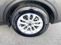Ford Kuga 2.0 120CV Diesel Automatica E6 Neo - 2023 Grigio - thumbnail 12