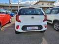 Kia Picanto Picanto III 2021 1.0 dpi Urban CAMBIO AUT. Bianco - thumbnail 5