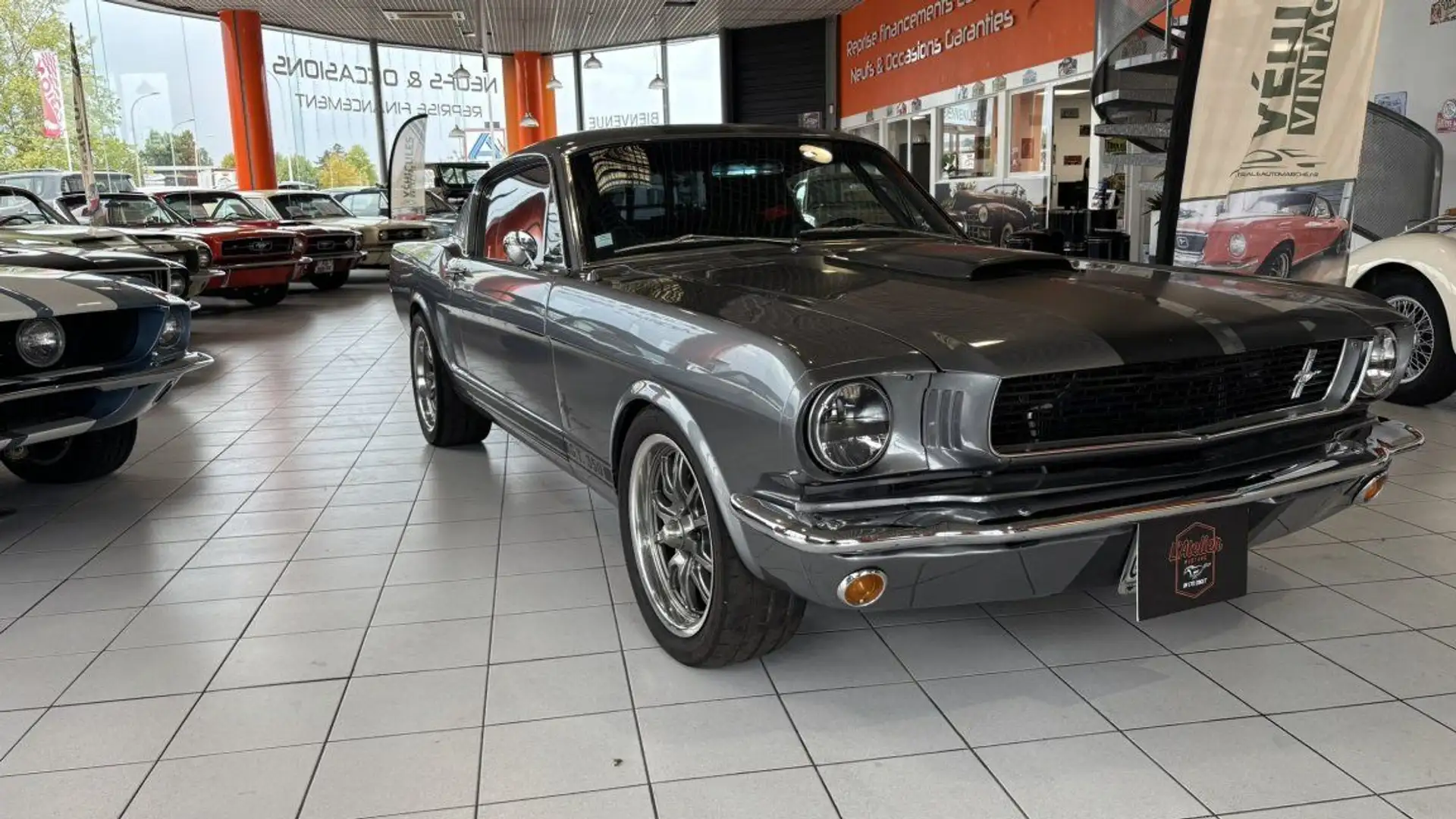Ford Mustang FASTBACK V8 CLONE GT 350 GRISE Gris - 1
