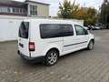 Volkswagen Caddy 2.0 TDI DSG Rollstuhltransport Weiß - thumbnail 3