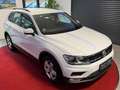 Volkswagen Tiguan Comfortline BMT/Start-Stopp 4Motion Weiß - thumbnail 5
