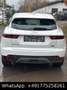 Jaguar E-Pace E-PACE Basis AWD,Navi,Kam,Euro6 - thumbnail 5