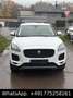 Jaguar E-Pace E-PACE Basis AWD,Navi,Kam,Euro6 - thumbnail 2