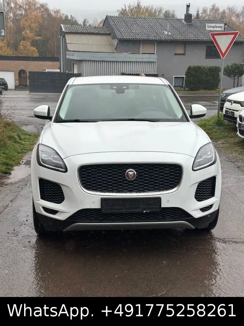 Jaguar E-Pace E-PACE Basis AWD,Navi,Kam,Euro6 - 2