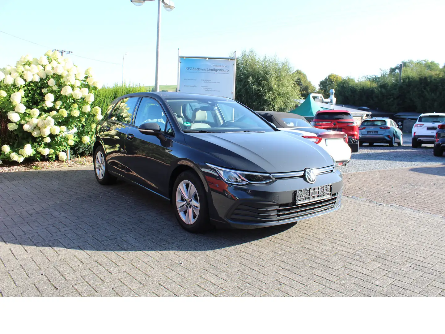 Volkswagen Golf 1,0 TSI Life LED/SHZ/LMF/PDC/LHZ Grau - 1