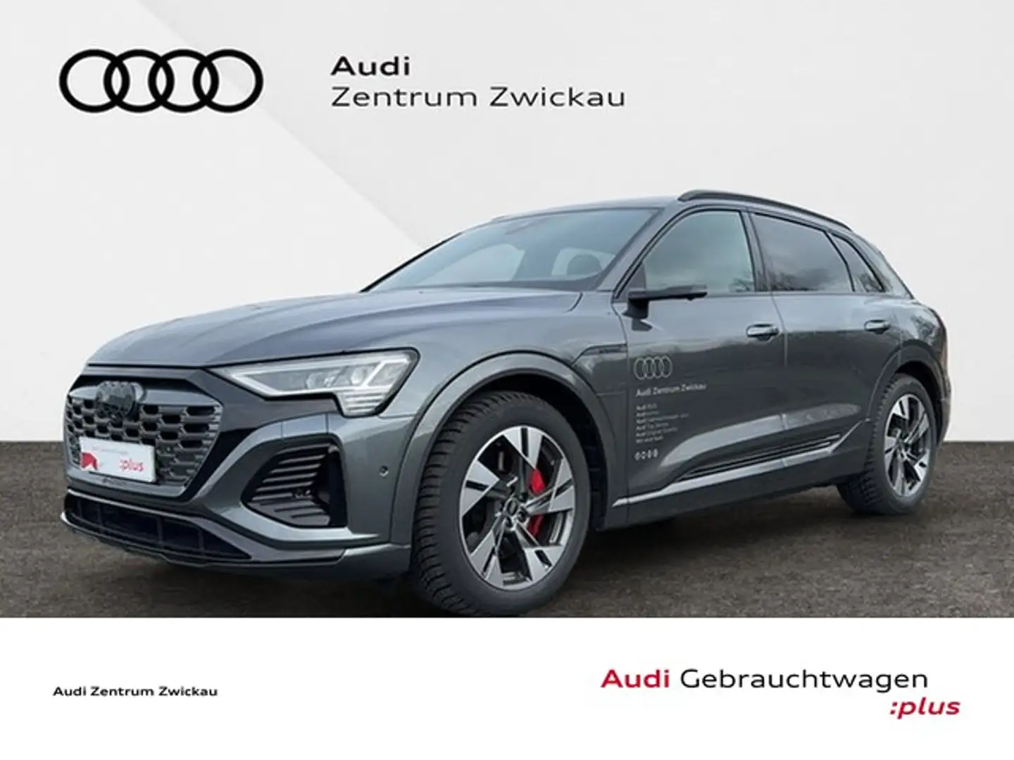 Audi Q8 e-tron 55 quattro S-line Matrix LED Scheinwerfer, Navi... Grau - 1