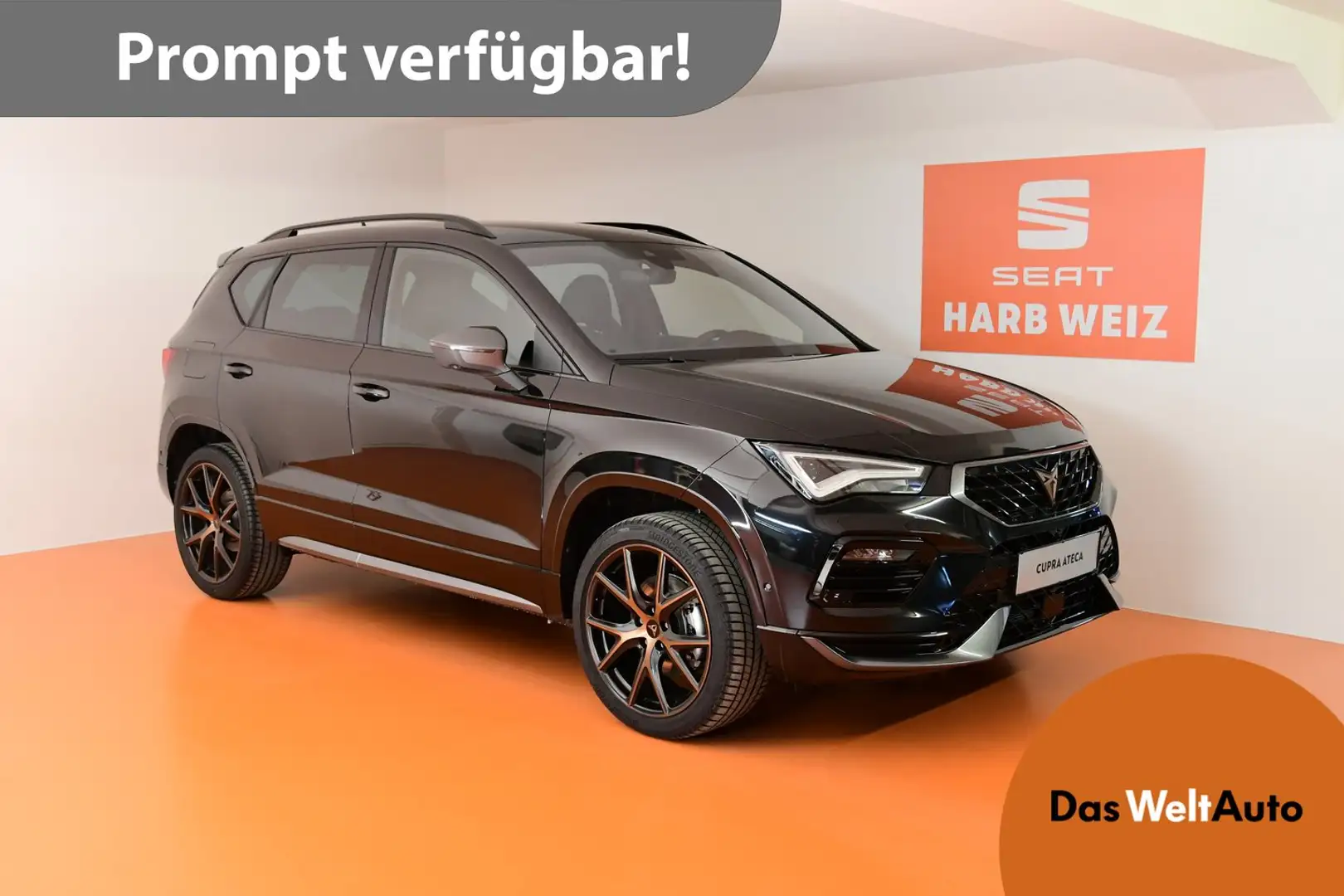CUPRA Ateca 2.0 TSI DSG 4Drive 190 Schwarz - 1