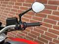 Aprilia Shiver 750 ABS (Austauschmotor) Rot - thumbnail 6