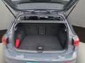 Volkswagen Golf Goal 2,0 l TDI SCR 85 kW (116 PS) 6 -Gang Grau - thumbnail 19
