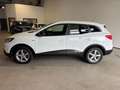 Renault Kadjar Bose Edition PANO SHZ KAMERA PDC Weiß - thumbnail 2