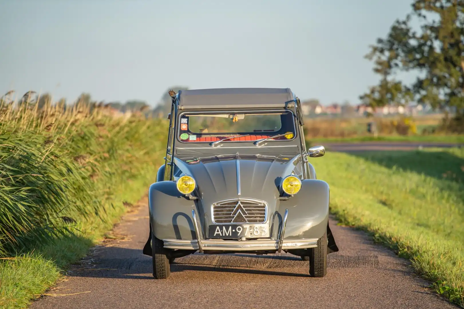 Citroen 2CV AZAM Grigio - 2