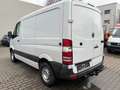 Mercedes-Benz Sprinter II Kasten 313 CDI Wit - thumbnail 7