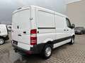 Mercedes-Benz Sprinter II Kasten 313 CDI Wit - thumbnail 9