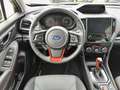 Subaru Forester 2.0ie Edition Exclusive Cross Gris - thumbnail 13