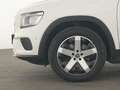 Mercedes-Benz GLB 220 Progressive Navi|Kamera|Standheizung|PDC Blanc - thumbnail 11