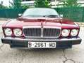 Jaguar XJ XJ6 4.0 Sovereign Burdeos - thumbnail 11