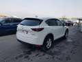 Mazda CX-5 II 2017 2.2 Exceed 2wd 150cv Bílá - thumbnail 4