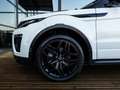 Land Rover Range Rover Evoque 2.0 Si4 Autobiography | HEAD UP DISPLAY | STOELVER Wit - thumbnail 13