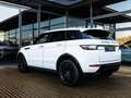 Land Rover Range Rover Evoque 2.0 Si4 Autobiography | HEAD UP DISPLAY | STOELVER Wit - thumbnail 12
