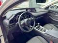 Mazda CX-30 G140 AUTO HOMURA*VOLL-LED*CARPLAY* Weiß - thumbnail 13