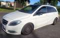 Mercedes-Benz B 200 Classe B 200 CDI Business Executive 7G-DCT A Blanc - thumbnail 1