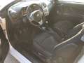 Alfa Romeo MiTo 1.4 m.air BlackLine Collection 105cv GPL - thumbnail 13